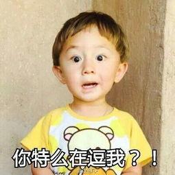 表情包混血小男孩