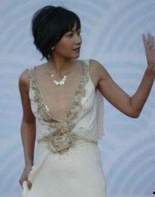 风骚明星,璀璨星河中的耀眼星辰