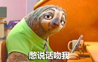 打树懒表情包,打树懒表情包的趣味解读