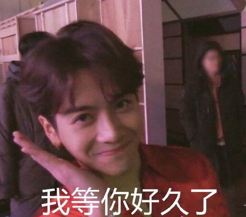 王嘉尔图片 表情包,笑出腹肌的治愈系萌宠