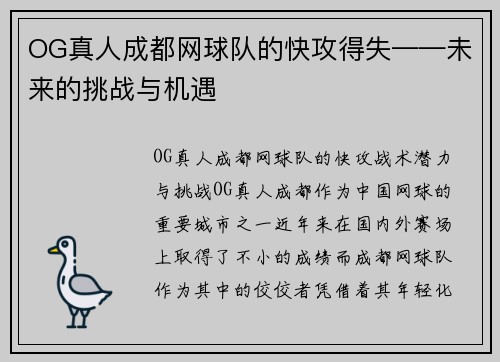 OG真人成都网球队的快攻得失——未来的挑战与机遇